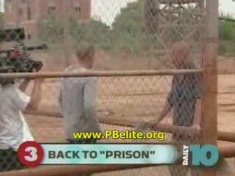 prison break sarah wayne callies is back