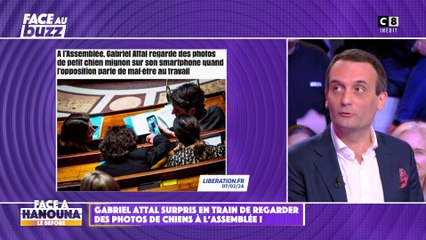 Gabriel Attal surpris en train de regarder des photos de chiens à l'Assemblée