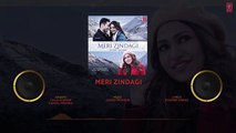 MERI ZINDAGI (Audio)- Tulsi Kumar, Vishal Mishra - Javed - Mohsin - Harsh Beniwal, Jiya Shankar