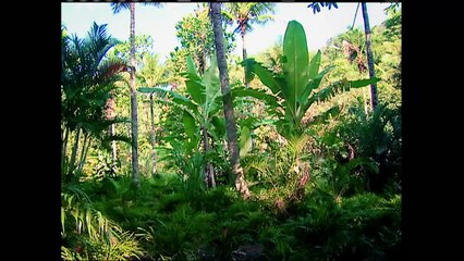 Os Mutantes Caminhos Do Coração Capitulo 165