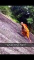 Monk climbing on a cliff while tourist need a rope for that