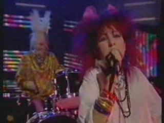 Rules and Regulations- Fuzzbox