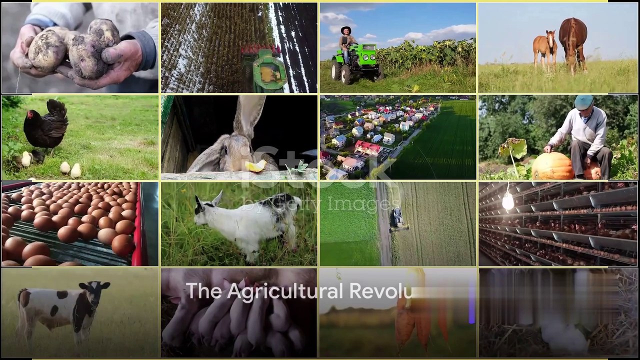 The Human Evolution Paradox: Are We Doomed to Destroy Our Own Paradise?