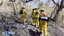 tn7-incendios-forestales-110224