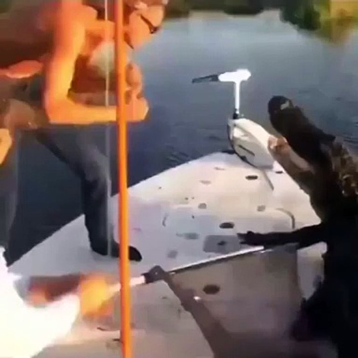 fight back baby