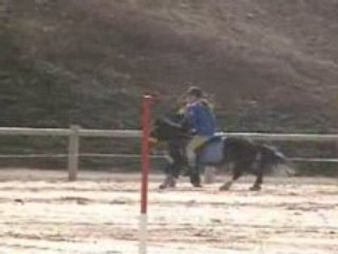 2 Tasses - 30/03/08 - Cadet 1