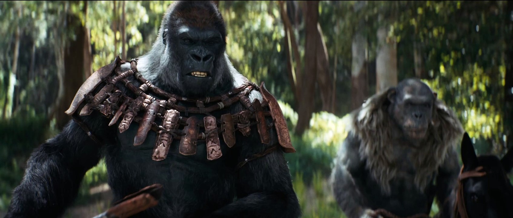 Im Trailer zu Kingdom of the Planet of the Apes ist die heutige Zeit nur noch eine Legende