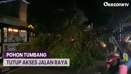Hujan Disertai Angin Kencang, Pohon Tumbang Tutup Jalan Raya Pondok Gede