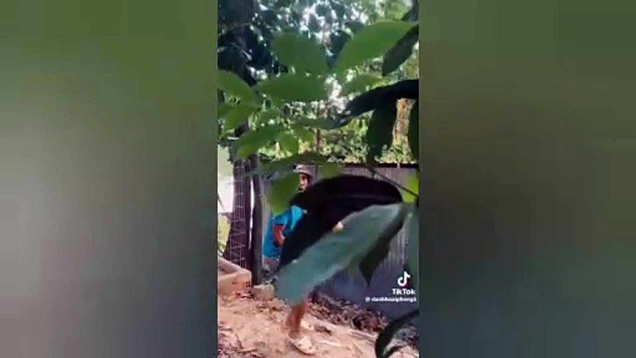 SCARECAM Prank Priceless Reactions #36 -- Jumpscares -- Funny Fails -- Funny Videos__ALLTIMESCARES_