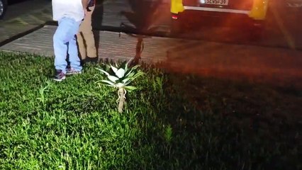 Homem é preso pela PM por violência doméstica