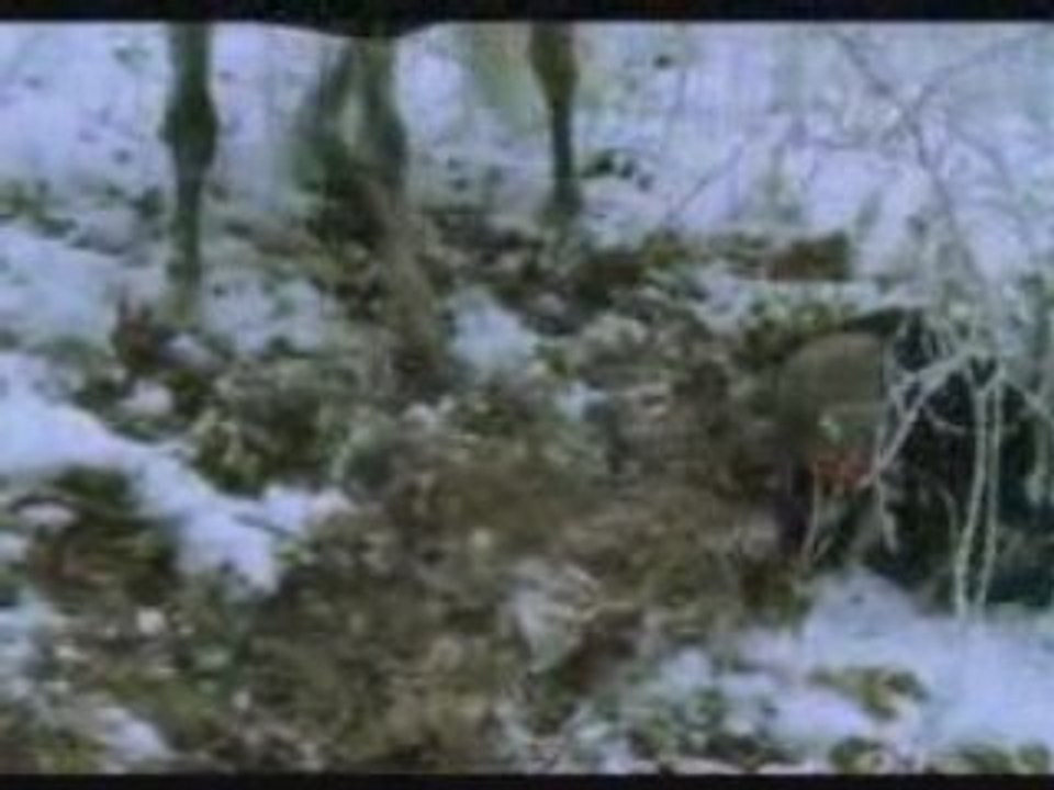 Les Rois Maudits : La reine etranglee