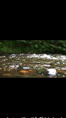 حادور عليكي 1- احمد سعد