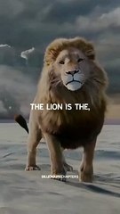 lion_attitude_whatsApp_status#shorts_#motivation_#youtube(360p)