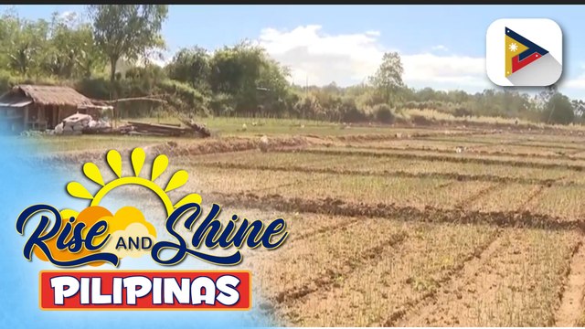NIA, tiwalang hindi magiging malaki ang epekto ng El Niño sa mga sakahan