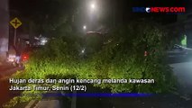 Imbas Cuaca Buruk,  Pohon Tumbang Tutup Jalan Raya Pondok Gede