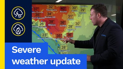 Severe Weather Update 12 February 2024: Storms and Extreme Fire Dangers in the south-east