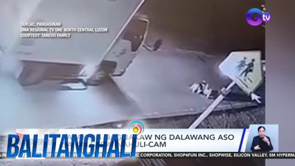 Lalaking nagnakaw ng dalawang aso sa kalsada, nahuli-cam | BT