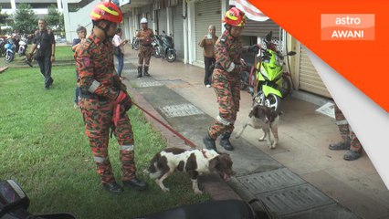 Anjing pengesan Jim, Woody dibawa periksa tingkat 17 - Bomba