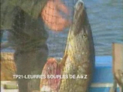 Leurres souples de A a Z