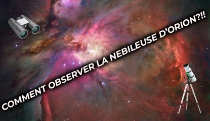 Observer #orion avec des #jumelles
