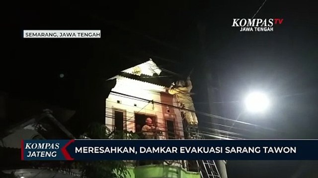 Meresahkan, Damkar Evakuasi Sarang Tawon Vespa di Atap Rumah