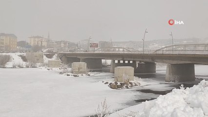 Ardahan'da dondurucu soğuk: Ağaçlar kırağı tuttu