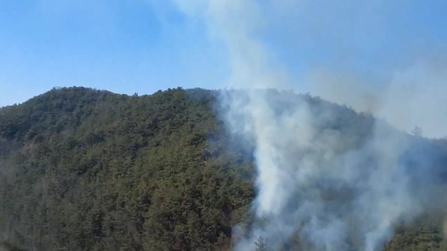 전남 나주 야산에서 산불...40여 분 만에 진화 / YTN