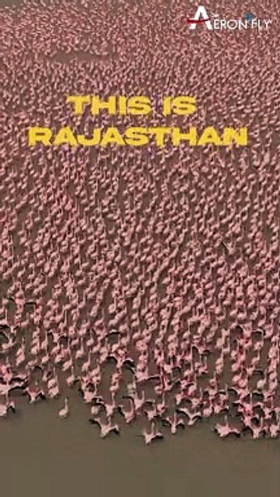 Have you visited pink sea in Rajasthan? | AeronFly | Make Your Safar Suhana
