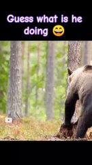 What are you doing bro?