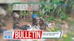 Umano'y mastermind sa pambobomba sa MSU-Marawi, nakumpirmang napatay sa operasyon ng militar noong enero | GMA Integrated News Bulletin