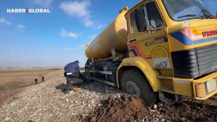 Su birikintisinde mahsur kalan binlerce yavru balığı kurtardılar