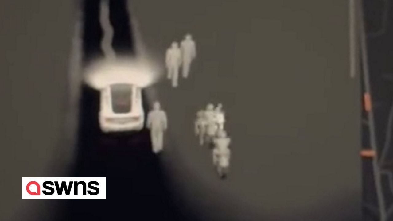 Tesla entdeckt mysteriöse wesen, die sich auf friedhöfen tummeln