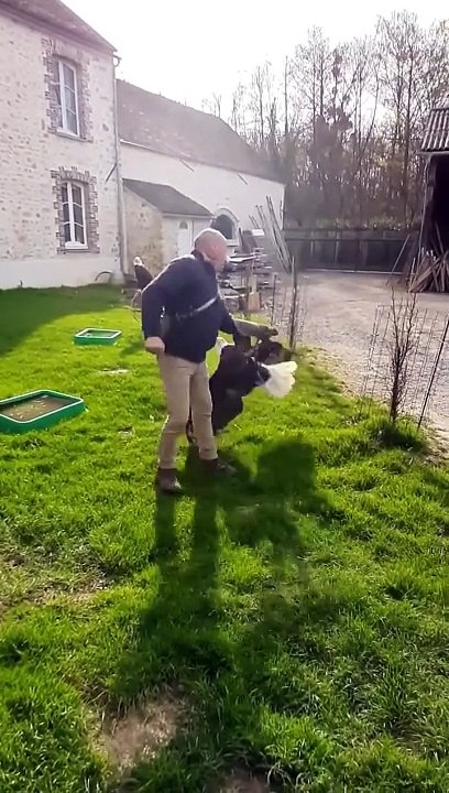Le journaliste Hugo Clément annonce avoir été mis en examen pour diffamation après la plainte du dresseur Pierre Cadéac - Regardez