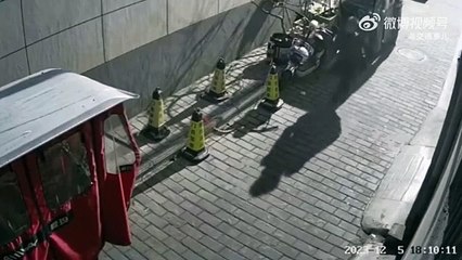 Ce gamin ne cognera plus jamais un cône dans la rue