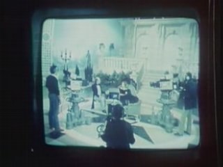 Madame S.O.S : Trois Tuteurs Pour Geranium