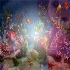 Dora The Explorer S01E10 Berry Hunt