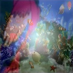 Go Diego Go S01E04 Diego Saves the Humpback Whale-Indi