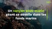 Un canyon sous-marin géant se dévoile dans les fonds marins