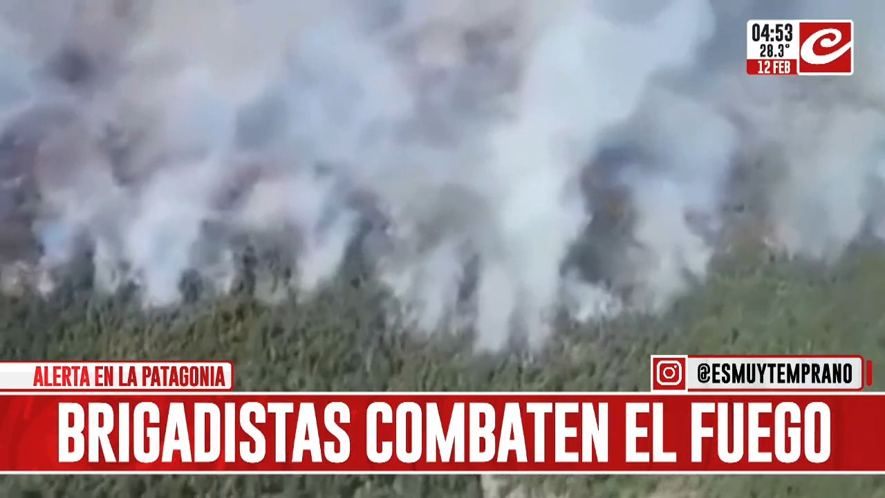 Alerta en la Patagonia: continúa el fuego en el Parque Nacional Los Alerces