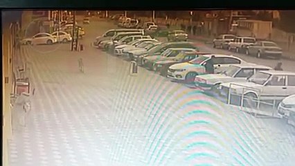 Bucak'ta sokak köpekleri kadına saldırdı! Kadın hastanelik oldu
