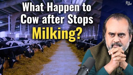 Do you know what happens to the cow after she stops milking?||Acharya Prashant, conversation (2022)