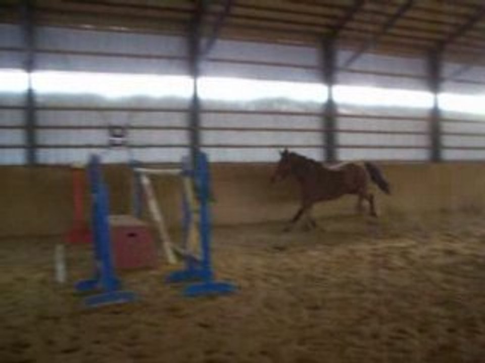 Aramisse des Pins saut en libertée 5 pieds