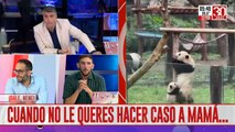 Viral: así una mamá panda enseñó a su cría 