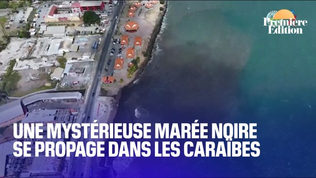 Une mystérieuse marée noire ravage les îles Trinité-et-Tobago dans les Caraïbes
