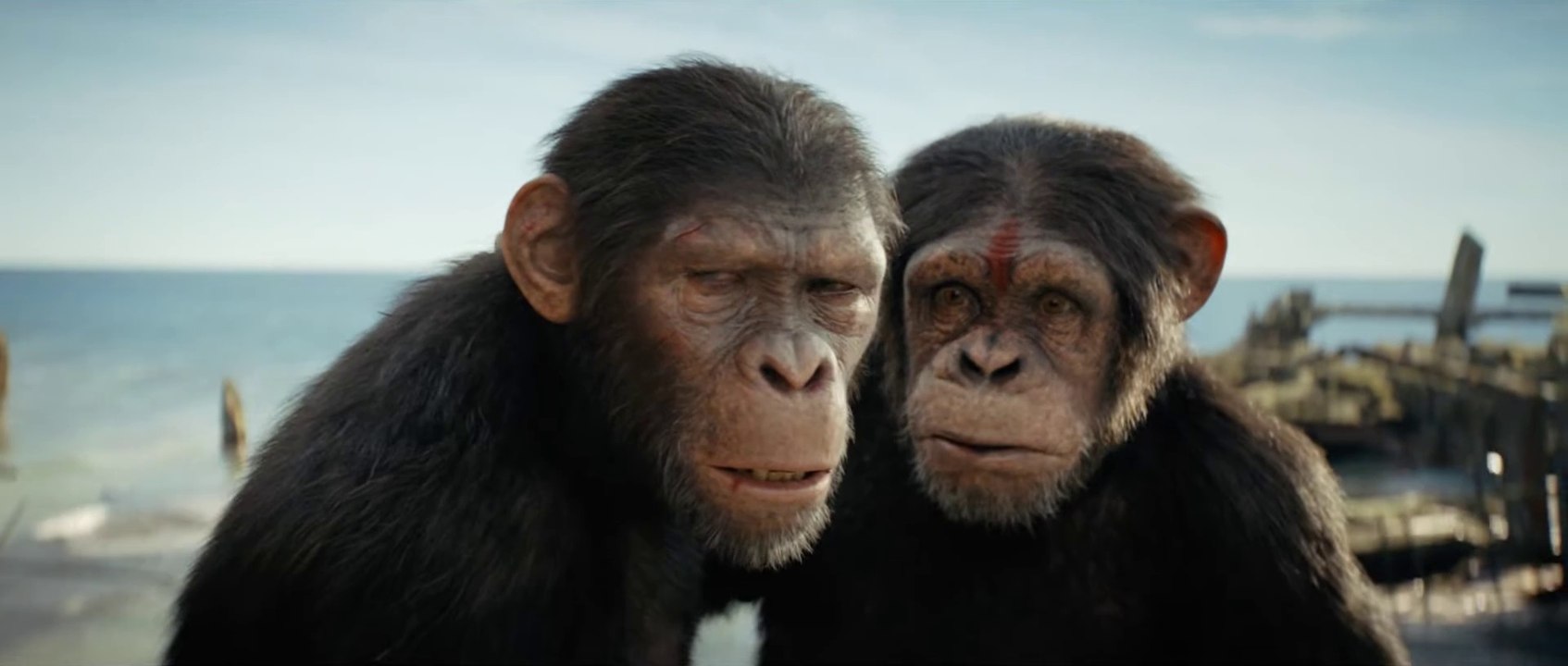 Planet der Affen New Kingdom Film