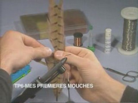 Mes premieres mouches