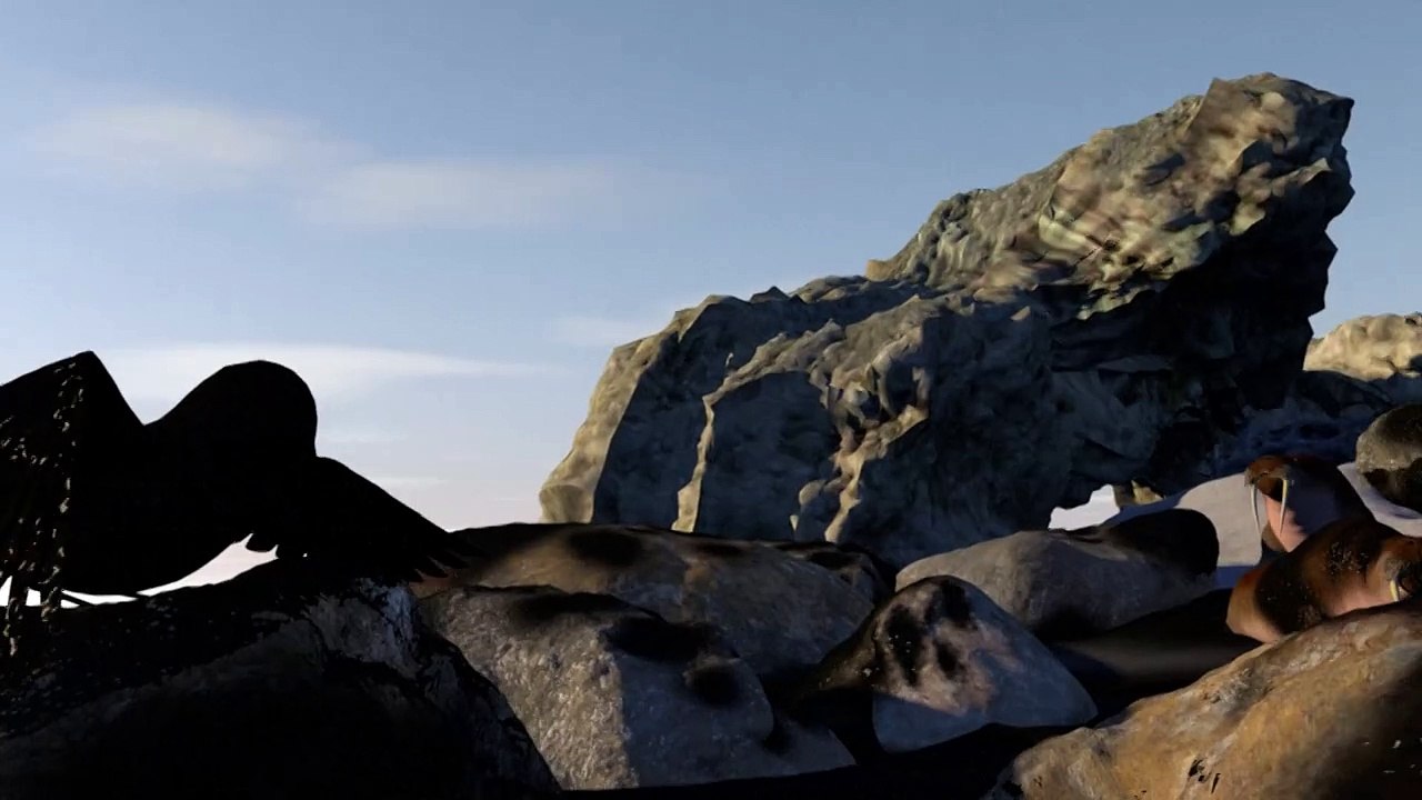 La pollution marine aux hydrocarbures