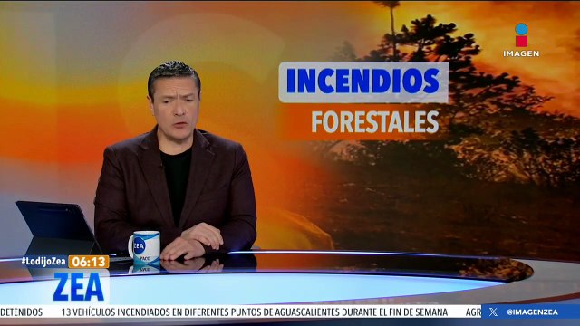 Incendio forestal consume zona boscosa de Santa Catarina Ixtepeji, Oaxaca