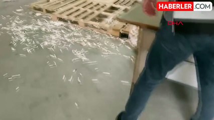 Adanada Kaçak Makaron Operasyonu: 22 Milyon 500 Bin Adet Ele Geçirildi