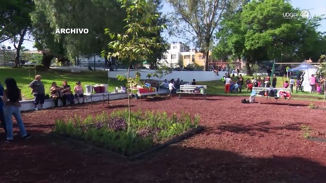 La SCJN se pronuncia ante cobro discrecional para usar canchas deportivas en Zapopan